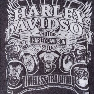 Harley-Davidson Gray Alligator Tee